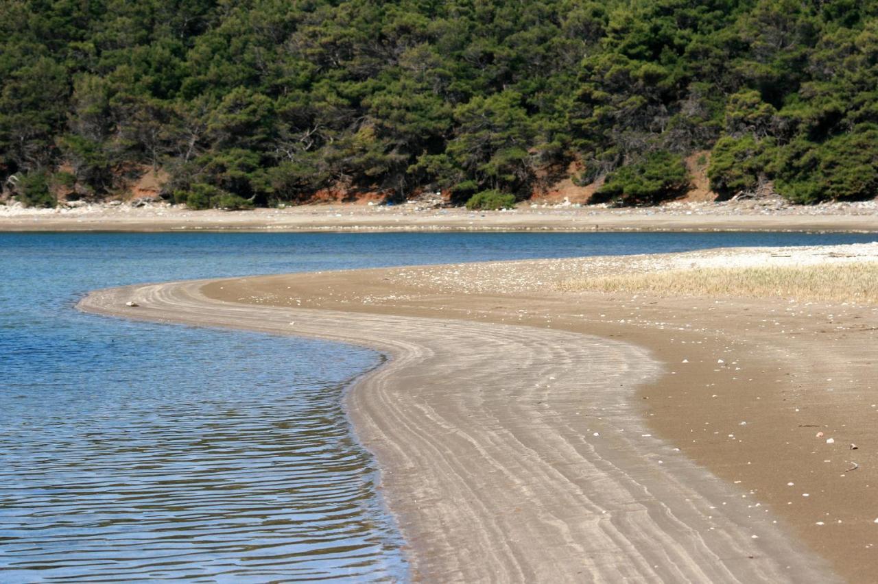 Maranovići Apartments By The Sea Cove Saplunara, Mljet - 4896 מראה חיצוני תמונה